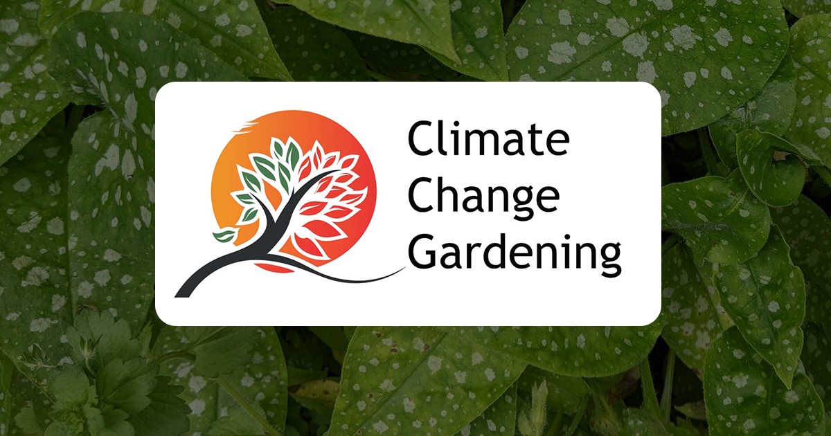 Climate Change This Garden Has A Bold Answer Kews Carbon Garden - kpl933o