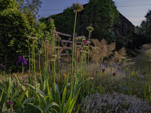 Lorem ipsum dolor sit amet, consectetur adipiscing elit. (1)